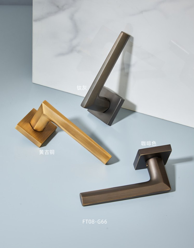 FT08-G66 lever handles